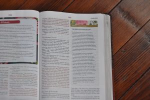 NKJV Woman's Bible Study